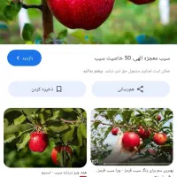 به چند نفر نیرو نیاز داریم