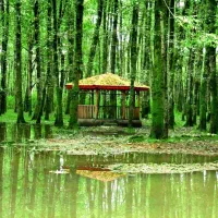 همسفر طبعیت گرد|فعالیت داوطلبانه|رشت, کوی مهر|دیوار