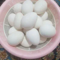 تخم بوقلمون