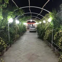 باغ ۱۲۰۰ متری سند تک برگ‌