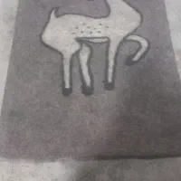 نمد مالی سنجابی