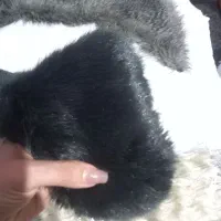 کیف خز و موی قابل اتو و سشوار|کیف، کفش، کمربند|فردیس, شهرک ناز|دیوار