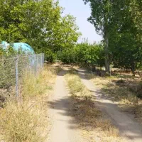 باغ در سه راهی یامچی به متراژ ۱۱۷۰۰