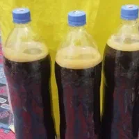 خشکبار بوانات ،،عمده و خرده .|خوردنی و آشامیدنی|شیراز, احمدی جنوبی|دیوار