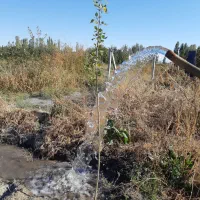 فروش باغچه باغ ایستاده ۴۴۰۰متر باصفا