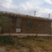 فروش ۱۲ هکتار