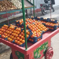 وسایل میوه فروشی|فروشگاه و مغازه|ساوه, |دیوار