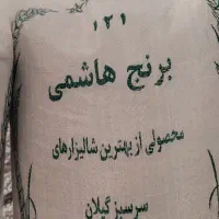 برنج هاشمی درجه یک لنگرود گیلان