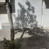 اجاره مغازه‌|اجارهٔ مغازه و غرفه|تهران, جوادیه تهرانپارس|دیوار