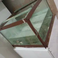 آکواریوم|ماهی|سنندج, |دیوار