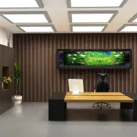 استخدام طراح سایت،گرافیست،تدوینگر،فروشنده و مارکتر