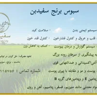 سبوس برنج|خوردنی و آشامیدنی|گنبد کاووس, |دیوار