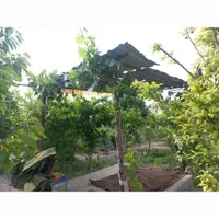 باغ ویلا آخر هفته پنج شنبه و جمعه درخواست در هفته|اجارهٔ کوتاهمدت ویلا و باغ|شاهرود, |دیوار