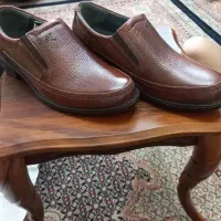 کفش چرم
