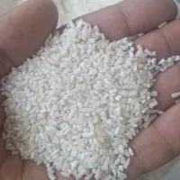 برنج لاشه ممان وبرنج سالم ۳۰۰