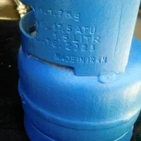 پیک نیک 1کیلو