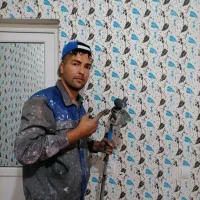 اجرای نقاشی و طرح کاغذ دیواری|خدمات پیشه و مهارت|آبیک, |دیوار