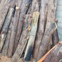 خرید چوب و هرس|خدمات باغبانی و درختکاری|چهارباغ, |دیوار