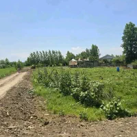 266 متر زمین/باغات داخل طرح/خوش قواره/دسترسی آسان