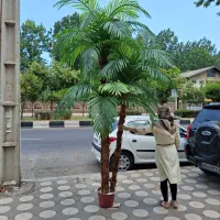 تولید درخت نخل مصنوعی|گل مصنوعی|لنگرود, |دیوار