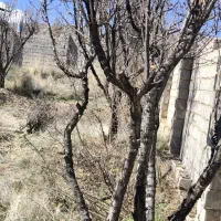 فروش باغ شهری جاده بوشهر ویلا شهر پرویزی