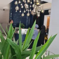 استخدام دربخش تکنسین کاشت موکلینیک دروازه شیراز|استخدام درمانی، زیبایی، بهداشتی|اصفهان, سعادت‌آباد|دیوار