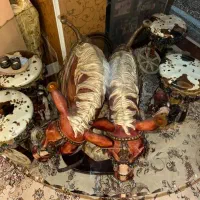 فروش وسایل منزل بعلت مهاجرت|میز و صندلی غذاخوری|شیراز, قدوسی شرقی|دیوار