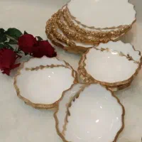 فروش ظروف رزینی و بدلیجات با قیمت مناسب|بدلیجات|کرج, خرمدشت|دیوار