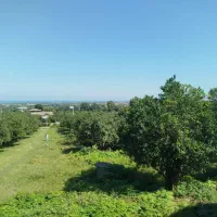 فروش زمین 3نیم هکتاری سنددار مناسب شهرک سازی