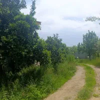 فروش ویلا ۷۱۰متر زمین ۱۵۰ متر بنا سند تک برگ|فروش خانه و ویلا|رضوانشهر, |دیوار