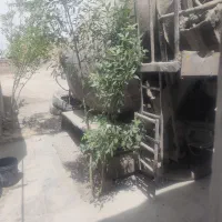 راننده پایه یک