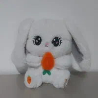 عروسک زیبا و تمیز|کلکسیون و سرگرمی|قم, وادی السلام|دیوار