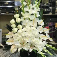 اجاره دادن‌گل ختم رومیزی برای مناسبت ها
