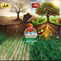 کود کِروا(آلی کامل هیومیک فروت ست قارچ و باکتری)