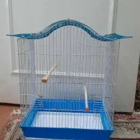 قفس قناری و عروس هلندی