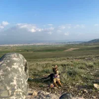 سگ ژرمن|سگ|بجنورد, |دیوار