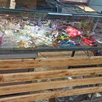 ویترین فروشگاهی|فروشگاه و مغازه|اصفهان, رکن الدوله شرقی|دیوار