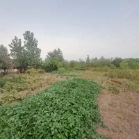 فروش ۳۰۰۰ متر زمین مسکونی قطعه بندی شده در منگوده|فروش زمین و ملک کلنگی|رشت, پیله داربن|دیوار
