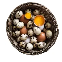 فروش تخم بلدرچین خوراکی و نطفه دار|خوردنی و آشامیدنی|اصفهان, ارغوانیه|دیوار