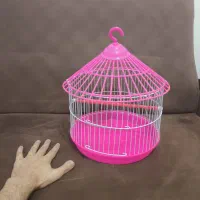 قفس کوچیک پرنده|لوازم جانبی حیوانات|لاهیجان, خالو باغ|دیوار