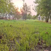 زمین باغی روستای نصرآبادبه متراژ ۱۳۵۶مترمربع