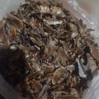 پوسته داخل گردو درمان سنگ کلیه