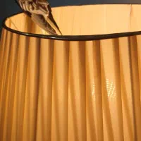 عروس هلندی|پرنده|زاهدان, |دیوار