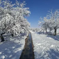 فروش-یک-قطعه-زمین-ویلایی