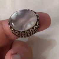 انگوشتر شجر ابری|کلکسیون اشیاء عتیقه|گرمسار, |دیوار