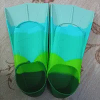 فروش فوری فین استخر