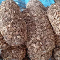 سیر بزری|خوردنی و آشامیدنی|جیرفت, |دیوار