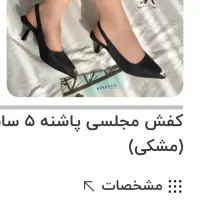 کفش کاملانو|کیف، کفش، کمربند|رشت, دروازه لاکان|دیوار