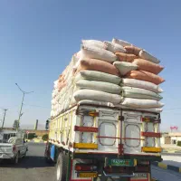 کاه گندم درجه ۱ سفید کوهدشت