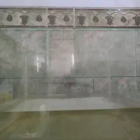 قیمت 800|ماهی|زرند, |دیوار